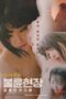 Killer-Affair-Scene-Top-Tier-Women-2025
